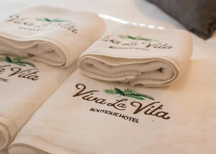 Hotel Viva La Butik 4*